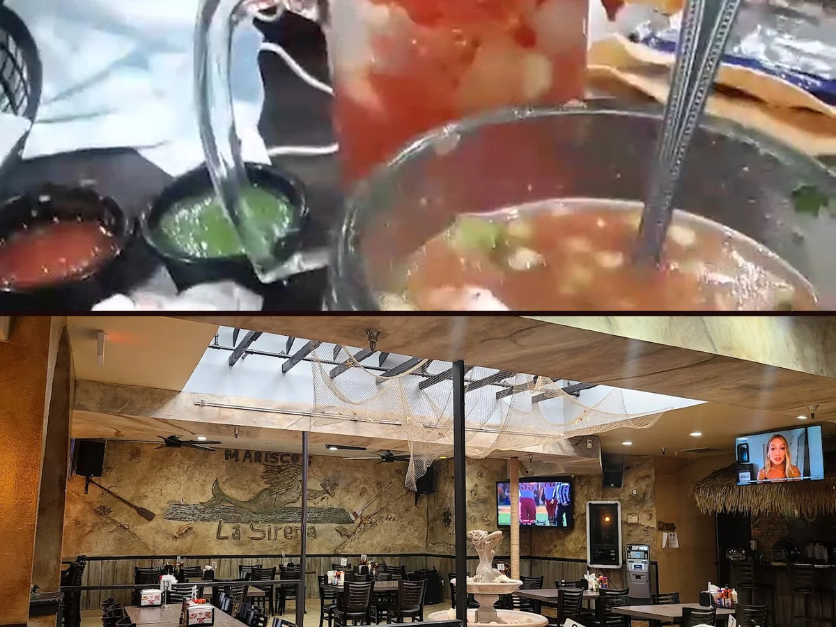 Fresh seafood entrées in a lively dining room.